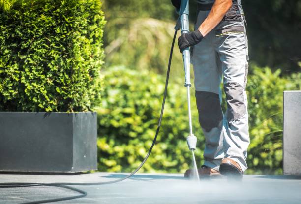 Best Residential Exterior Washing  in Oglethorpe, GA