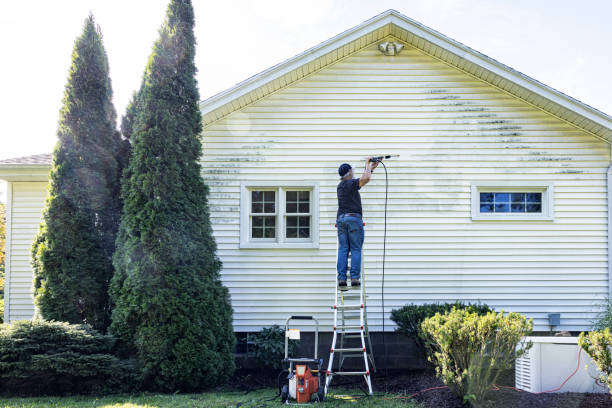Best Graffiti Removal  in Oglethorpe, GA